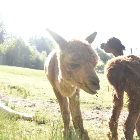 Angerer * Berchtesgaden